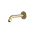Beccuccio da parete in acciaio inox oro eleganza e resisten