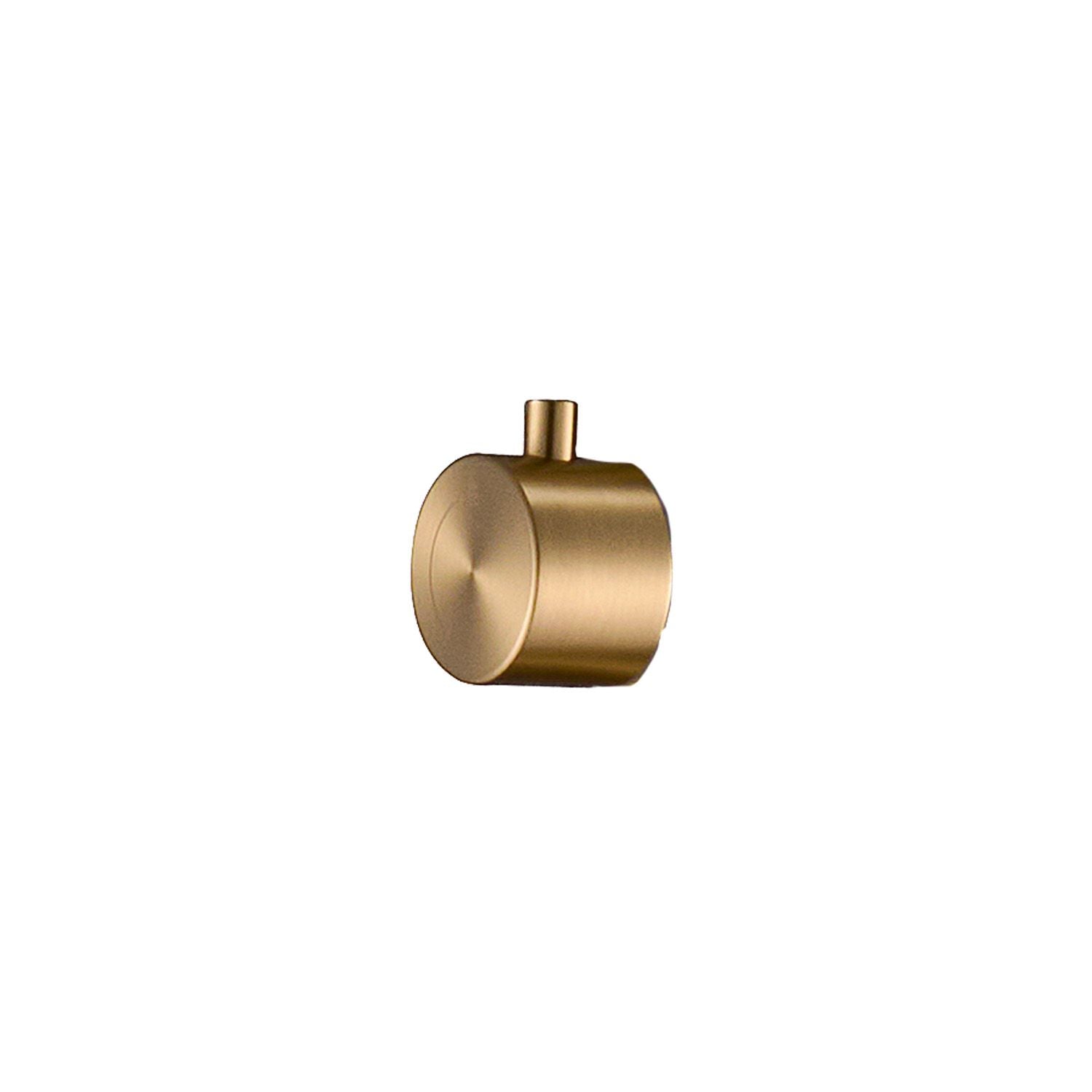 Deviatore Inox Oro per Docce da Giardino: Eleganza e Durabilità