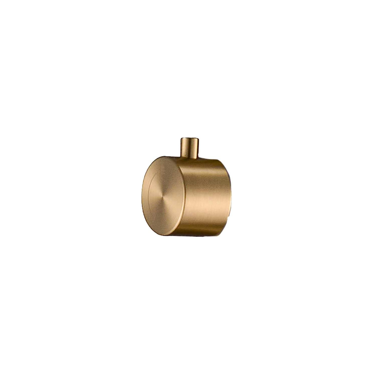 Deviatore Inox Oro per Docce da Giardino Eleganza e Durabili