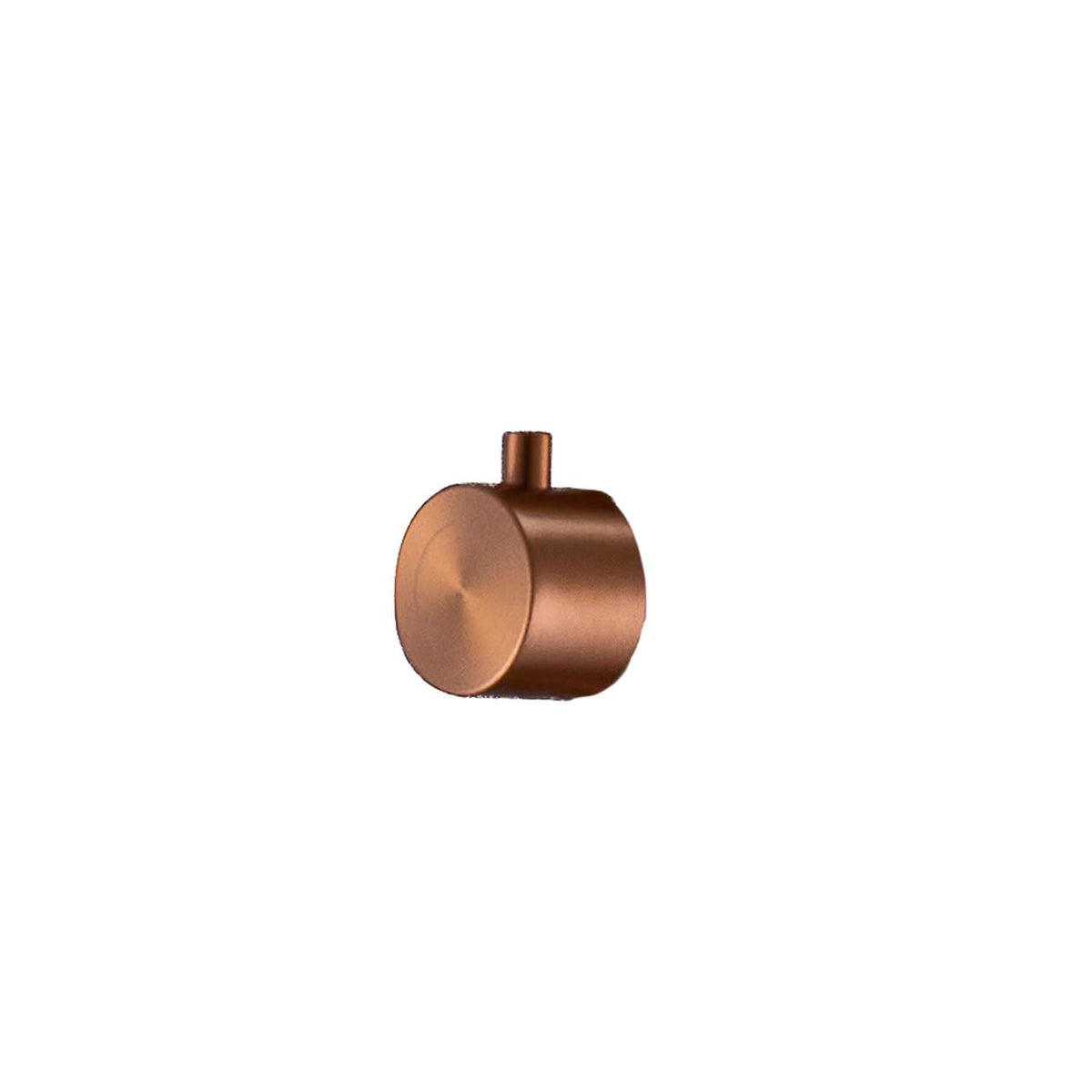 Deviatore Inox Oro Rosa per Docce da Giardino Eleganza e Dur