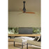 Ventilatore Eterfan nero marrone DC inversa
