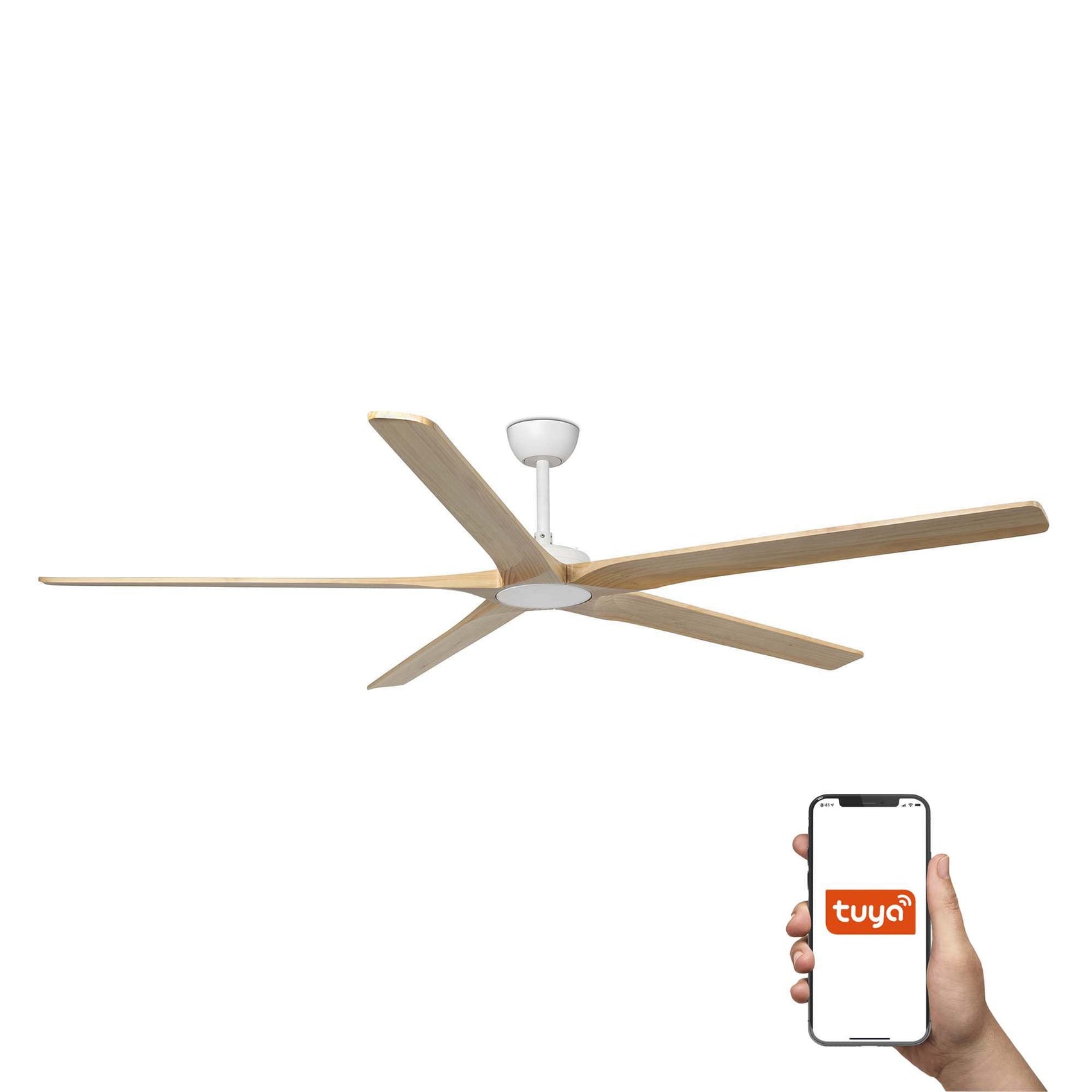 Faro Bigwood 20 Xl Eleganza e Durata Ass