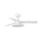 faro rudder tak s design e durata br
