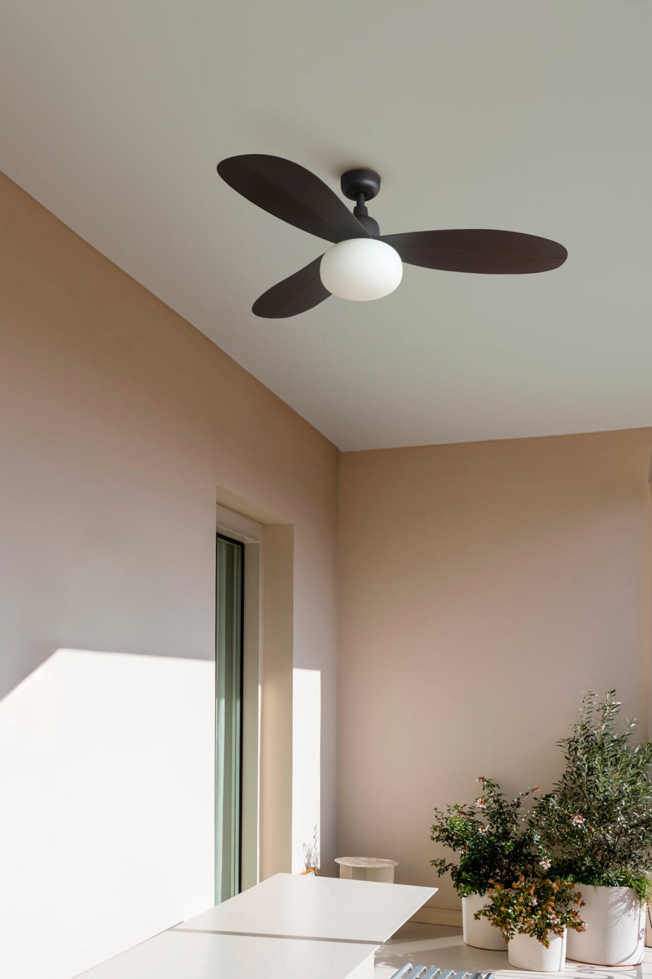 faro palma marron eleganza e qualita