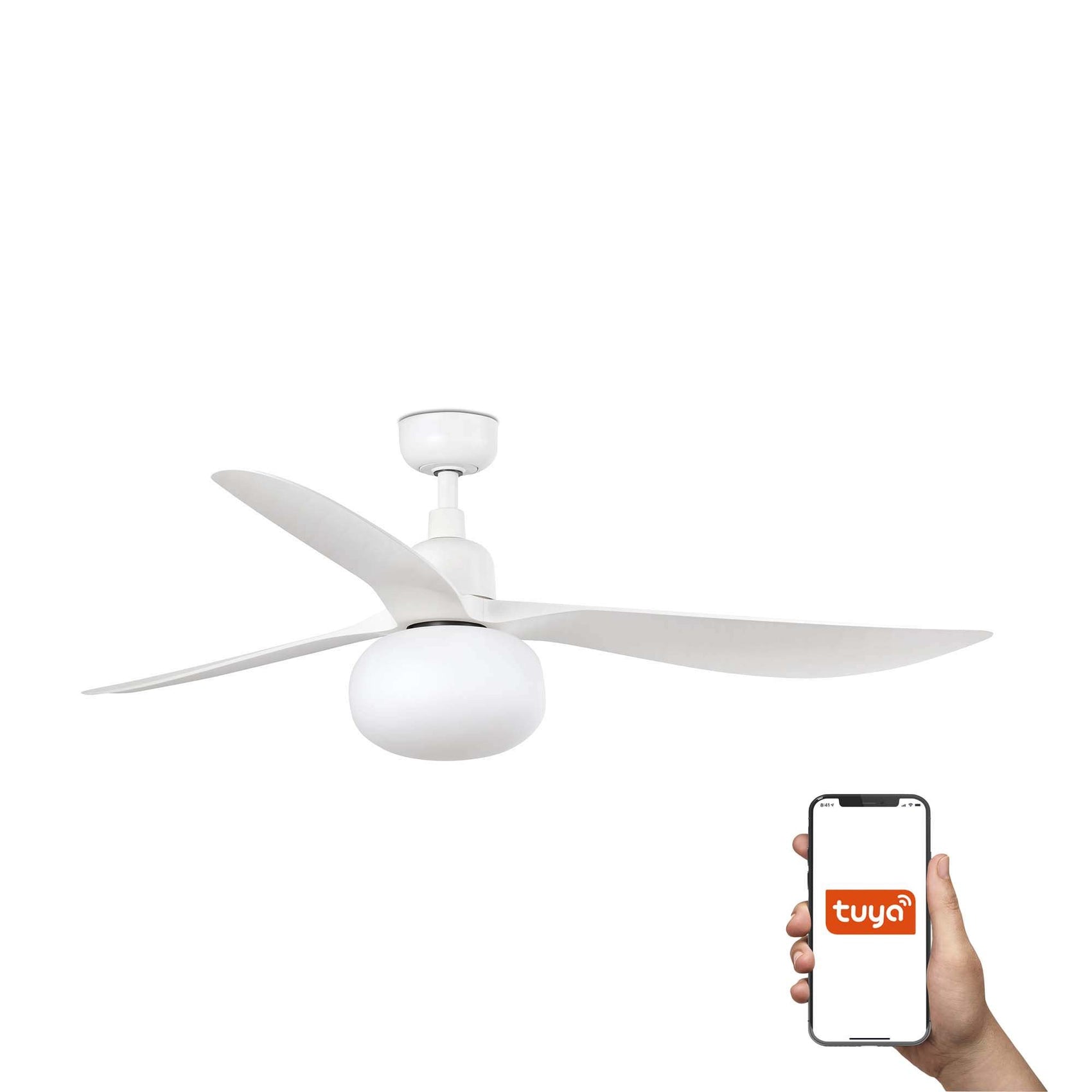 Ventilatori per Pegole