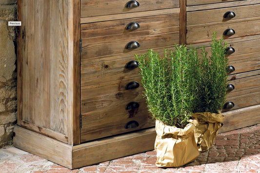 Guarnieri Arnica solid wood display cabinet, Elegance