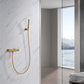 SET DOCCIA MONOCOMANDO BLESS ORO SPAZZOL