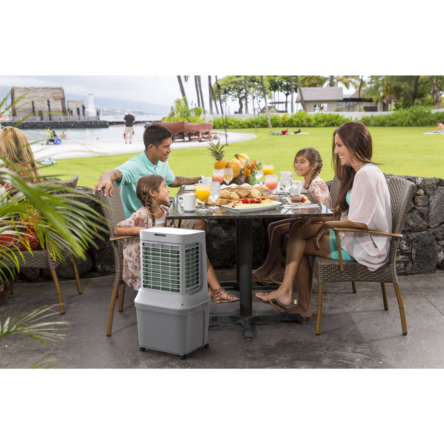 Raffrescatore Mo-el 8500: Eleganza, Efficienza e Comfort