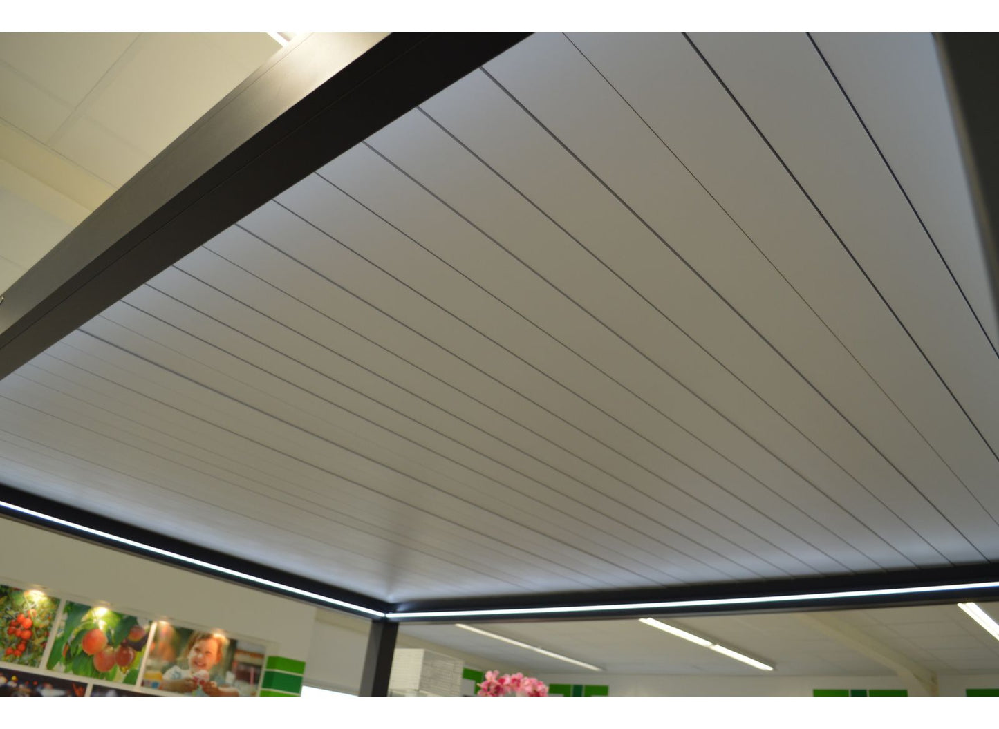 Pergola Dora 3x4: eleganza, comfort e qualità per il tuo spazio esterno!