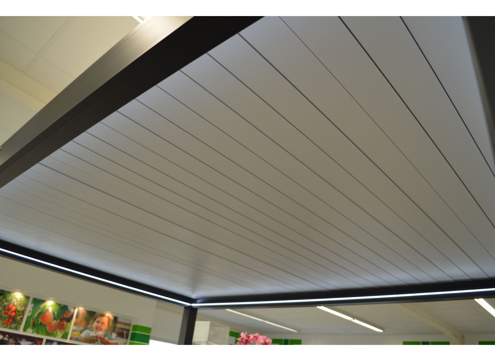 Pergola Dora 3x4: eleganza, comfort e qualità per il tuo spazio esterno!