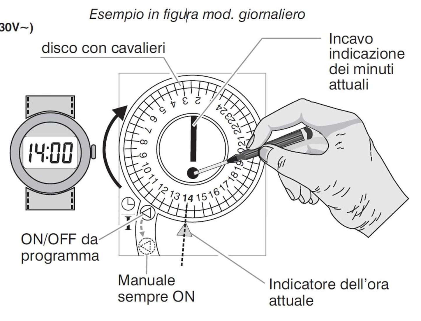 Interruttore Orario Giornaliero Perry