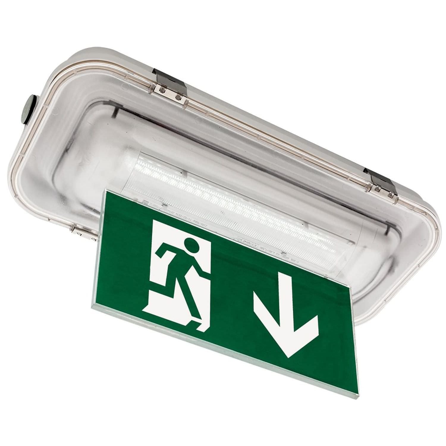 Contenitore Stagno Per Lampada Emergenza