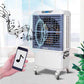 Raffrescatore Mobile 802: design elegante, materiali resistenti, ideale per ambienti privati e professionali. Acquista ora!
