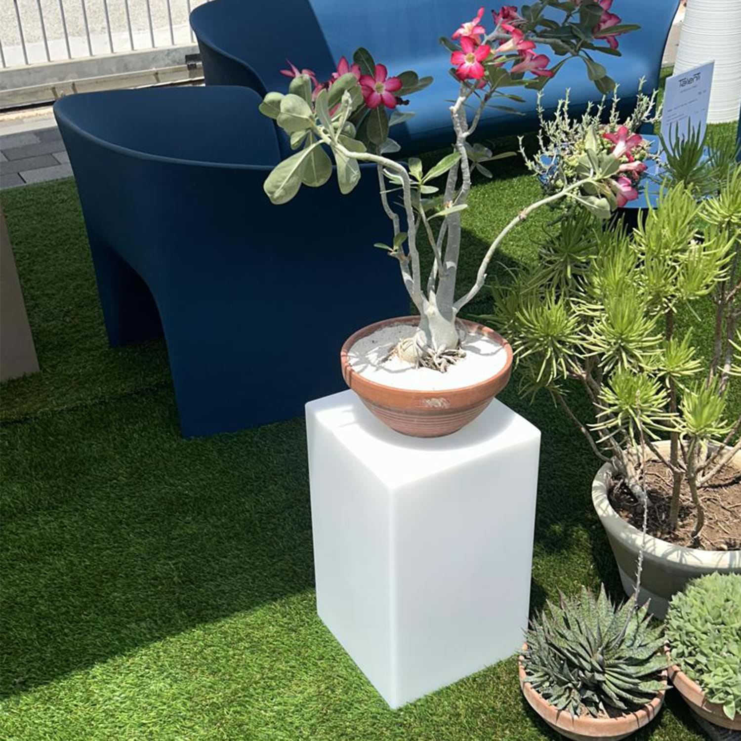 Sgabello Luminoso Par: Design Elegante e Resistente, Acquista Ora!